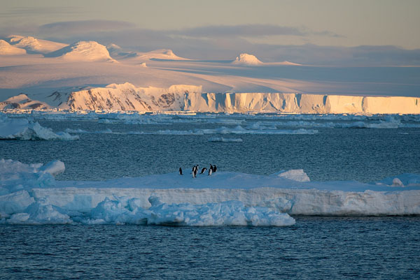Photograph Ria De Heij Antarctica on One Eyeland